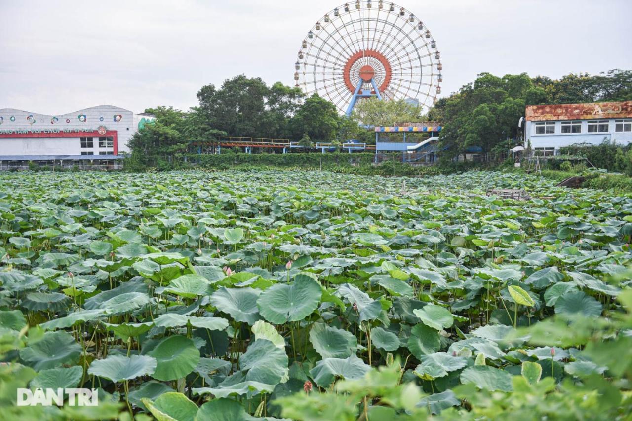 Best Price Ho Guom Apartments For Long Stay Hanoi Buitenkant foto